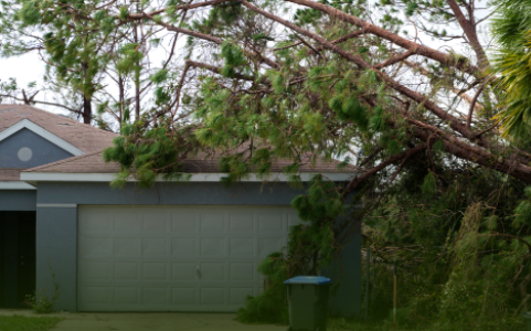 Caldwell Truck in a Residential Driveway