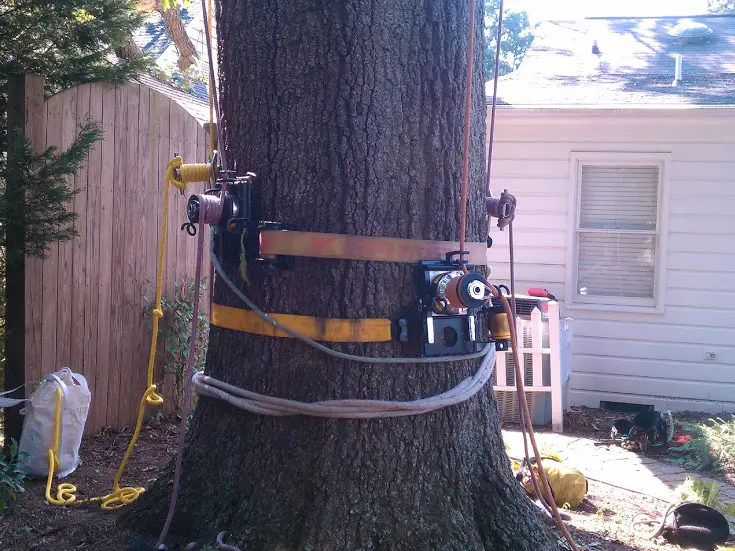 Caldwell Truck in a Residential Driveway